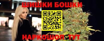 индика Гусев
