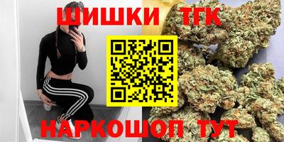 индика Гусев