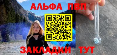 индика Гусев