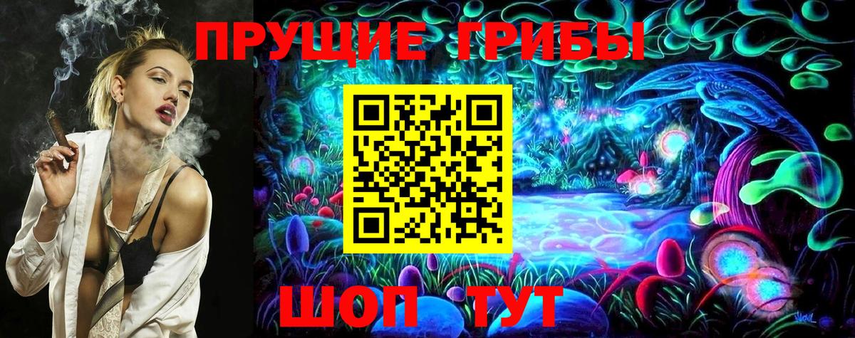 Миасс  Псилоцибиновые грибы Psilocybine cubensis  Вход с VPN 
