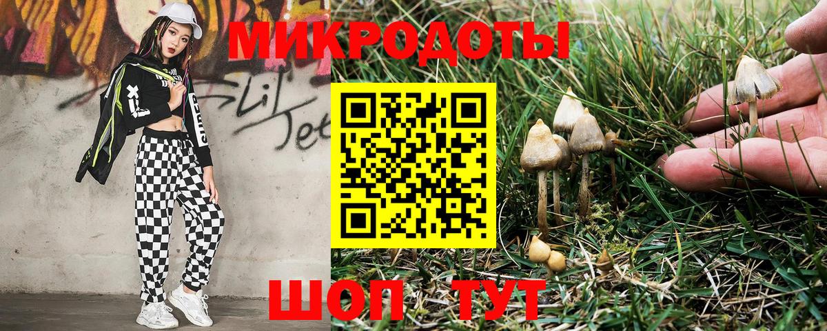 Псилоцибиновые грибы Psilocybine cubensis Миасс